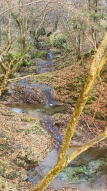 Il n°315 e 316 dalla Valle di Inzino verso il Monte Guglielmo